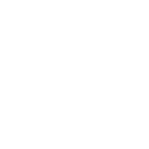 https://oceanqigong.com/wp-content/uploads/2017/03/logo_blanco_oq-300x300-1-300x300.png